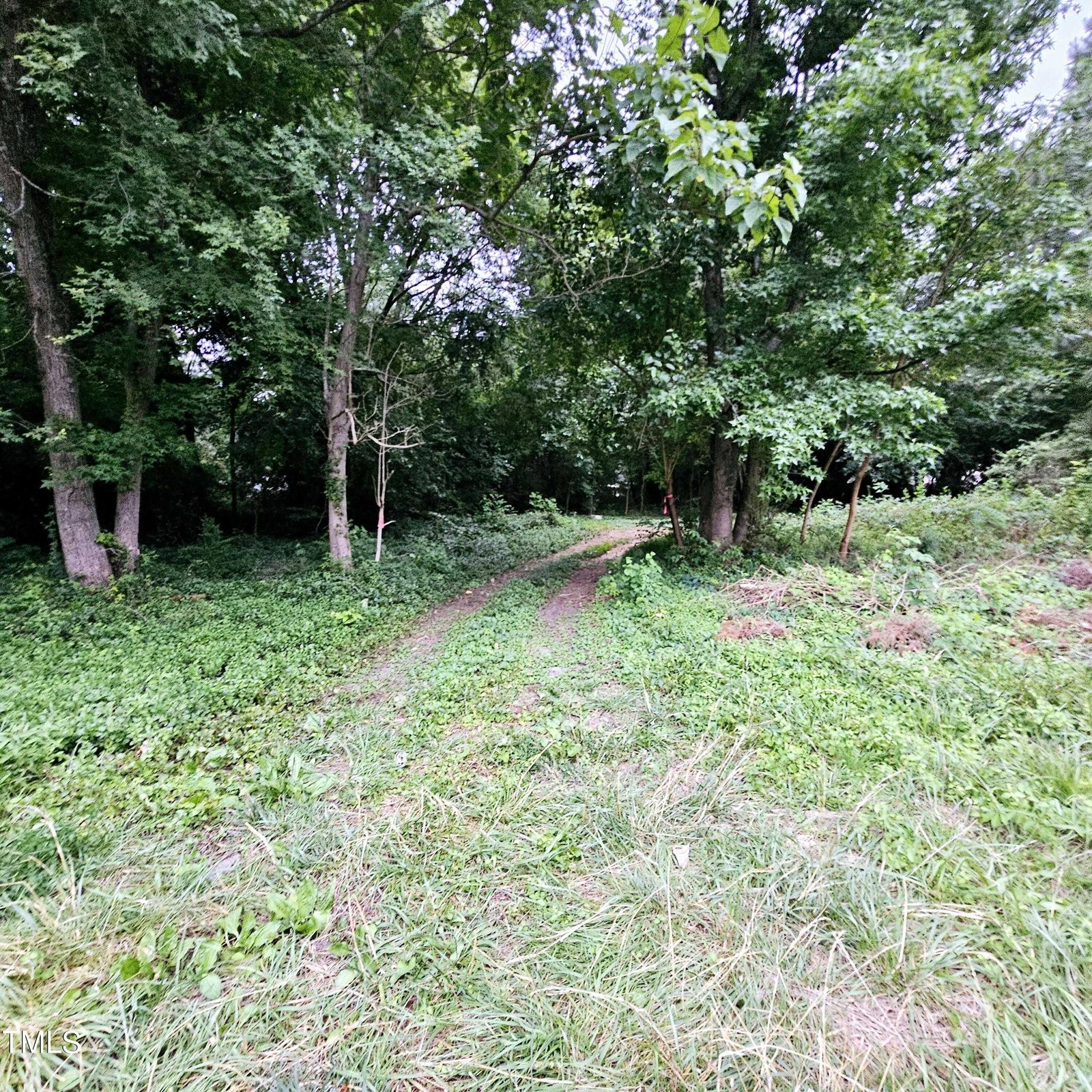 Commercial Land - 1722 Vicksboro Road, Henderson, NC